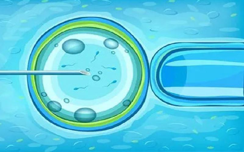 精子弱做试管 疼代生